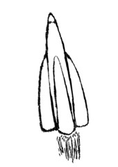 missile © robodread
