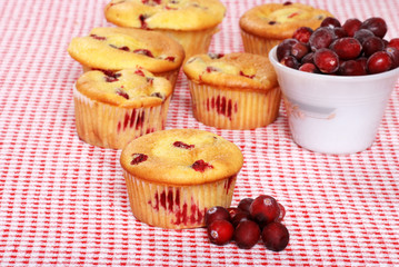 Lots Of Lemon Cranberry Muffins
