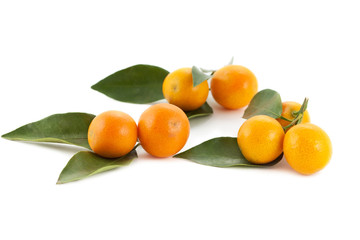 tangerines isolated on white
