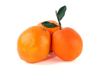 Fresh oranges against white background