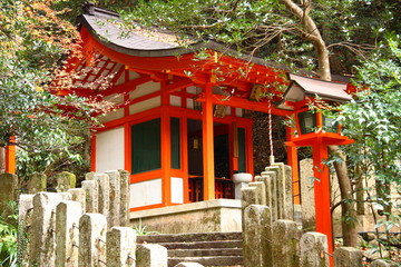 Fototapeta premium temple à kurama