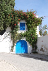 Porte de Sidi Bou Said en Tunisie