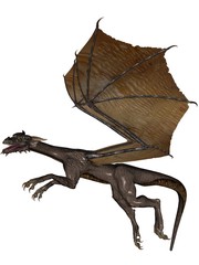 Flying dragon