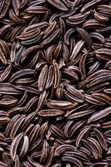 Some caraway seeds for background
