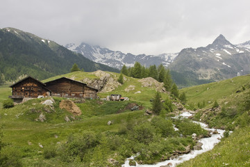 Fototapeta premium südtirol