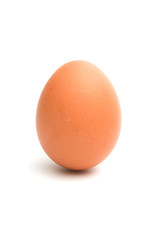Chicken egg