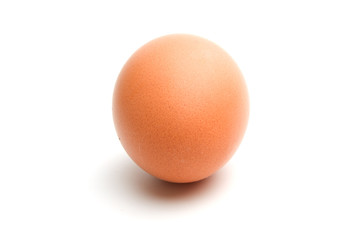 Chicken egg