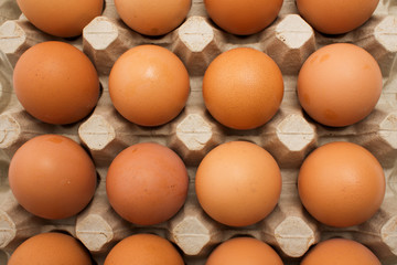 Chicken eggs
