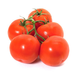ripe tomatoes