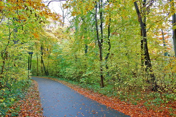 Chemin d'automne