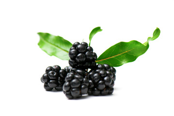 blackberry and raspberry