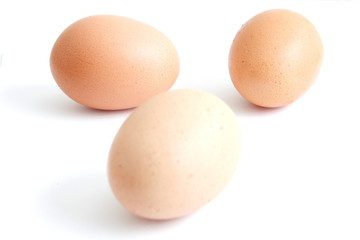 Eggs