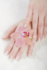Healthy hands and perfect french manicure