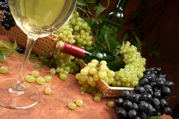 White dry wine, fresh clusters of a grapes