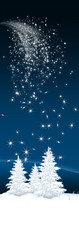 Winter Landscape Banner Ad - Falling Star