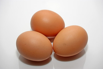 oeuf