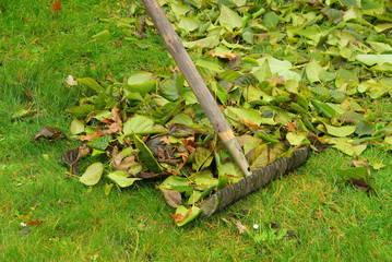 Laub harken - leaves rake 08