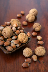 Hazelnuts and walnuts