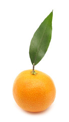 Mandarin orange with green leaf