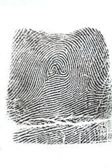 finger print