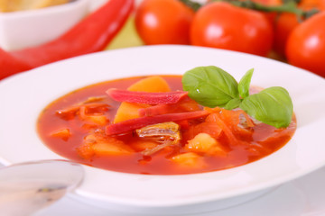 gemüsesuppe,bortch