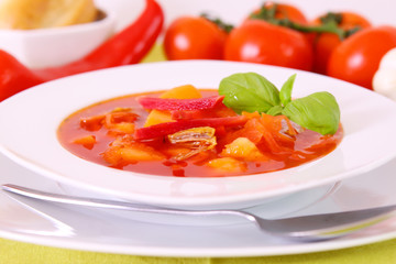gemüsesuppe,suppe