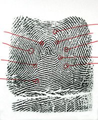 fingerprint