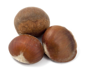 Chestnuts isolated on white background. Macro photo.