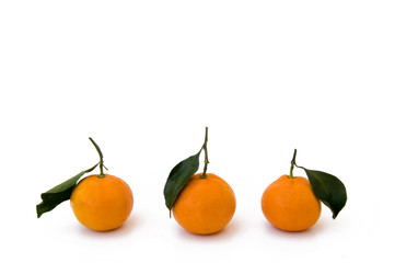 Tangerine