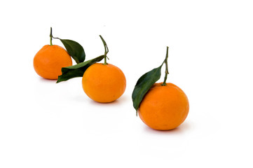 Tangerines