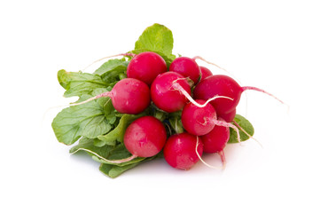 Radish