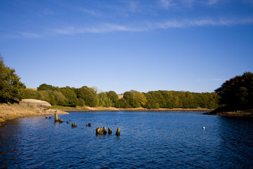 view around a lake in brittany