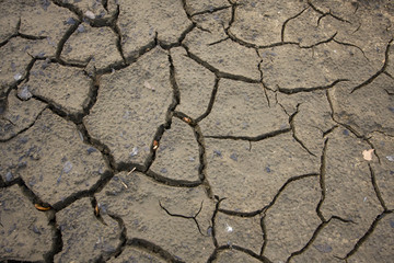 some cracks in mud which dries