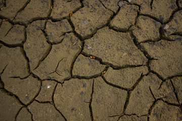 some cracks in mud which dries