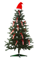 Christmas sale