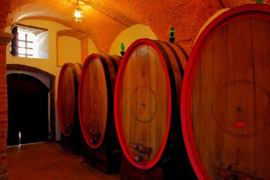 Weinkeller, Barrique - F&auml;sser, Ziegelgew&ouml;lbe,Toskana, Italien