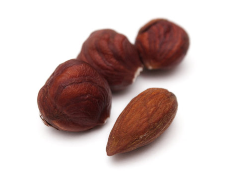 almond and "Lambert nut" isolated on white
