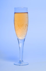 Closeup of the bubbles in a glass of champagne