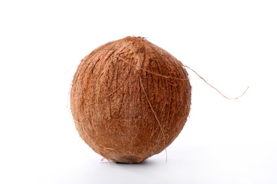 Kokosnuss