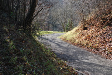 Fototapeta premium Kurve