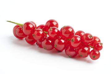 Red currants on white background