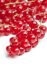 Red currants on white background