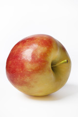 One single shiny Elstar apple on white background