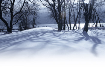 White winter morning in the park