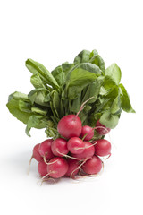 a bunch of red radish on white background