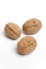 Walnuts in a shell
