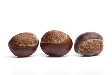Sweet Chestnuts