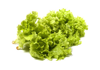 Lettuce salad
