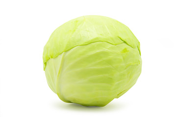Fototapeta premium green cabbage
