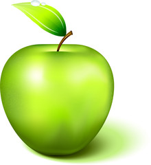 realistic Green Apple on white background